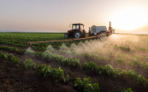 Professional Pest Control in Fort Salonga, NY