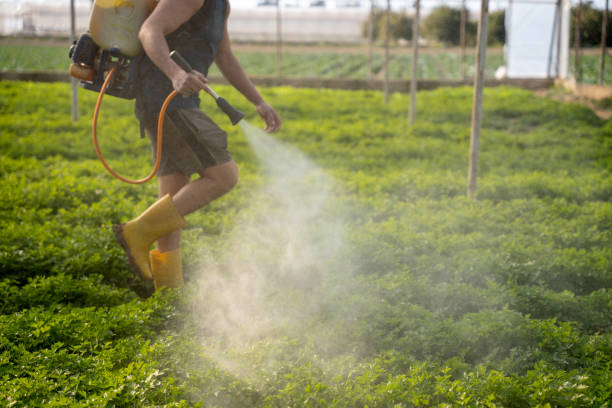 Best Commercial Pest Control Services  in Fort Salonga, NY
