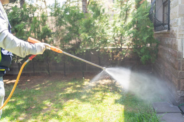 Best Flea Control Services  in Fort Salonga, NY