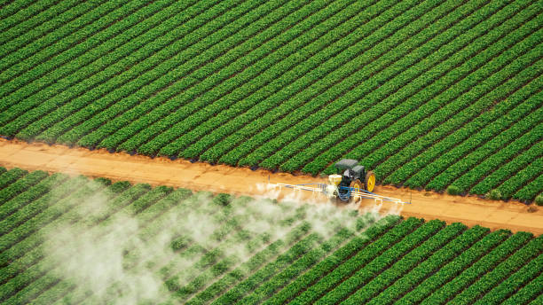Best Ant Control Services  in Fort Salonga, NY