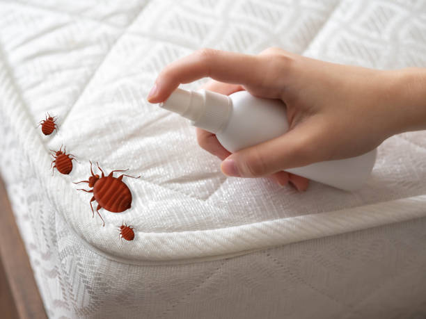 Pest Control Cost in Fort Salonga, NY