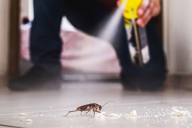 Best Pest Prevention Services  in Fort Salonga, NY