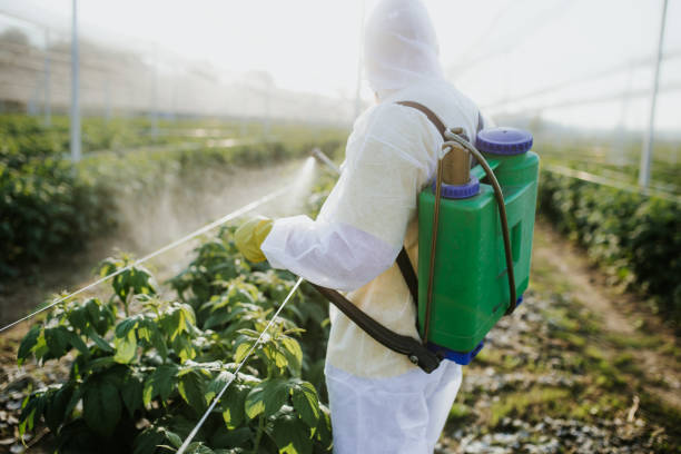 Best Exterminator Services  in Fort Salonga, NY